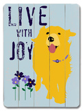 Live with Joy