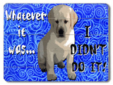 I didn't Do it!