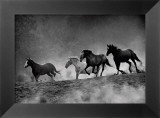 Run with the Wind