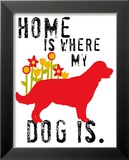 Home Is Where My Dog Is