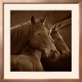 Tenderness