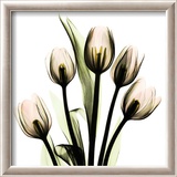 Crystal Flowers X-ray  Tulip Bouquet