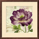 Study in Purple II