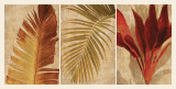 Palm Vista I