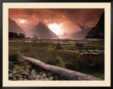 Milford Sound  Fiordland  South Island  New Zealand