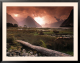 Milford Sound  Fiordland  South Island  New Zealand