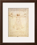 Vitruvian Man  c1492