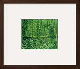 Woods and Undergrowth  c1887