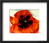 Poppy
