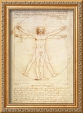 Vitruvian Man  c1492