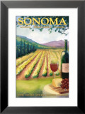 Sonoma County  California Wine Country