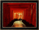 Tunnel of Torii-Arches  Fushimi Inari Shrine  Kyoto  Japan