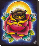 Owl and Rose