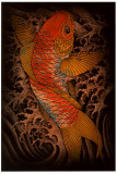 Koi
