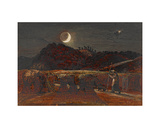 Cornfield by Moonlight
