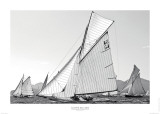 Sortie en Mer