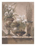Floral Elegance II