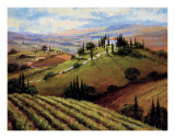 Tuscan Afternoon