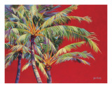 Fire Palm