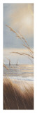 Sailboat Breezeway Panel II