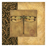 Dragonfly Square