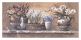 Antique Blossoms