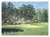11th at Augusta  White Dogwood