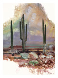 Desert Haze