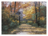 Autumn Road