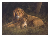 Lion and Cub