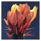 Desert Flame