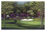 Augusta  13th Azalea