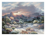 Sonoran Sunrise