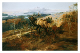 The Elk