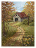 Roadside Barn