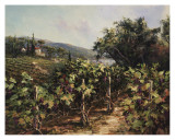 Montelcino Hills