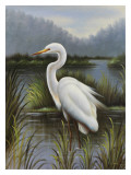 Morning Egret