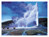 Old Faithful
