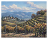 Vineyard Village