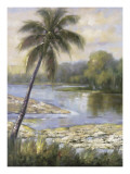 Island Tropics l