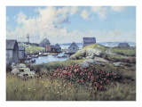 Houses Around The Bay