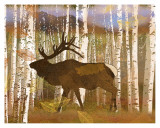 Elk