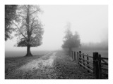 Misty I