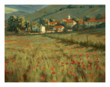 Hillside Village