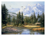Cabin in the Foothills