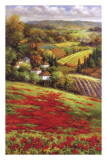 Valley View III