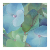 Hydrangeas