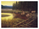 The Crossing