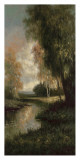 Tranquility Path II