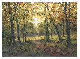 Late Summer Walk